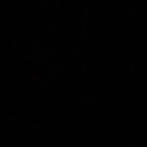 Meet your Posher, Shuntel